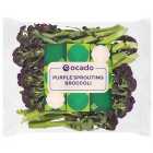 Ocado British Purple Sprouting Broccoli 200g