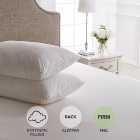 Dorma Pack of 2 Sumptuous Down Like Back Sleeper Pillows