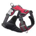 Red Dingo Red Padded Dog Harness
