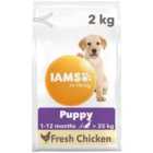 IAMS for Vitality Puppy Food Large Breed with Fresh Chicken 2kg