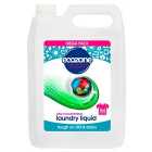 Ecozone Bio Laundry Liquid 166 washes 5L
