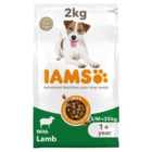 IAMS for Vitality Adult Dog Food Small/Medium Breed With Lamb 2kg