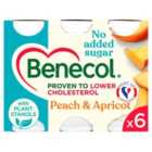 Benecol Peach & Apricot No Added Sugar Yogurt Drink 6 x 67.5g