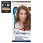 Clairol Root Touch Up Light Brown 6