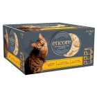 Encore Cat Tins, Chicken Selection in Broth 8 x 70g