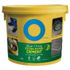 Blue Circle Extra Rapid Setting Cement - 5kg