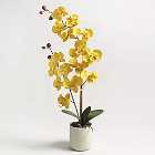Artificial Ochre Orchid in Plant Pot