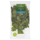 Morrisons Bunched Coriander 100g
